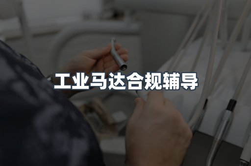 工业马达合规辅导